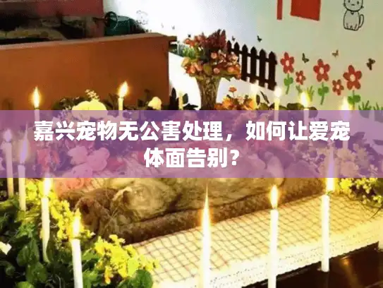 嘉兴宠物无公害处理,如何让爱宠体面告别? 嘉兴宠物无公害处理,如何让爱宠体面告别?