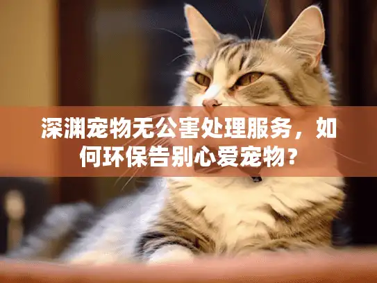深渊宠物无公害处理服务，如何环保告别心爱宠物？