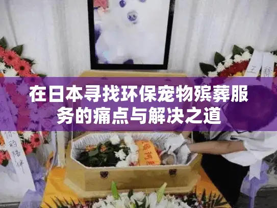 在日本寻找环保宠物殡葬服务的痛点与解决之道