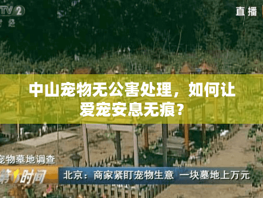 中山宠物无公害处理,如何让爱宠安息无痕? 中山宠物无公害处理,如何让爱宠安息无痕?