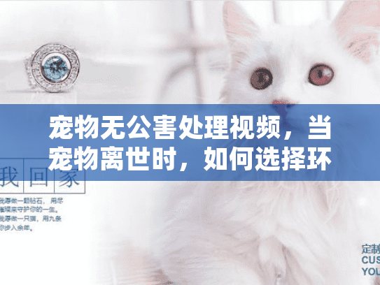 宠物无公害处理视频，当宠物离世时，如何选择环保安葬方案？