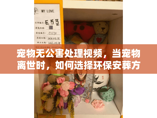 宠物无公害处理视频，当宠物离世时，如何选择环保安葬方案？