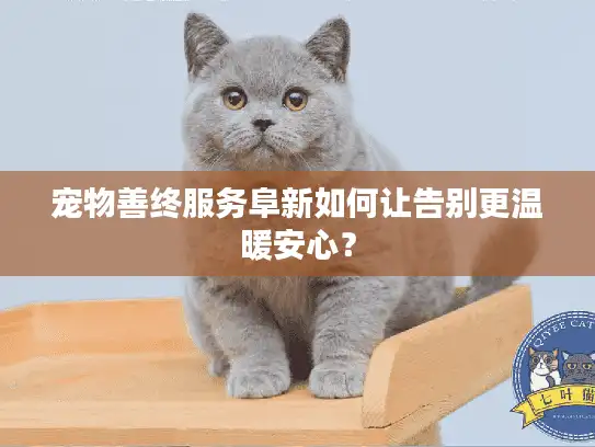 宠物善终服务阜新如何让告别更温暖安心? 宠物善终服务阜新如何让告别更温暖安心?