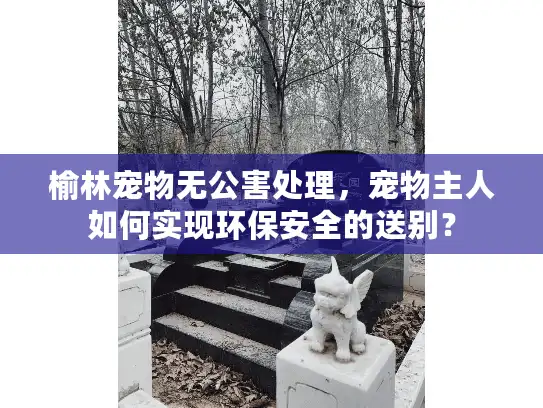 榆林宠物无公害处理,宠物主人如何实现环保安全的送别? 榆林宠物无公害处理,宠物主人如何实现环保安全的送别?