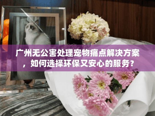 广州无公害处理宠物痛点解决方案，如何选择环保又安心的服务？