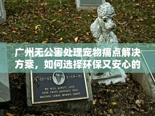 广州无公害处理宠物痛点解决方案，如何选择环保又安心的服务？