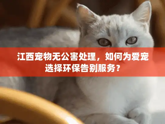 江西宠物无公害处理，如何为爱宠选择环保告别服务？