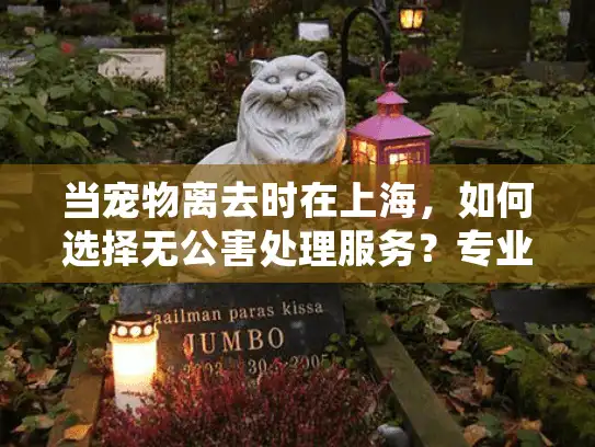 当宠物离去时在上海，如何选择无公害处理服务？专业环保殡葬全指南