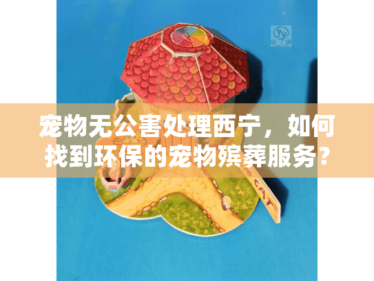 宠物无公害处理西宁，如何找到环保的宠物殡葬服务？