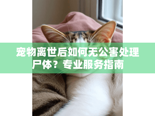 宠物离世后如何无公害处理尸体？专业服务指南