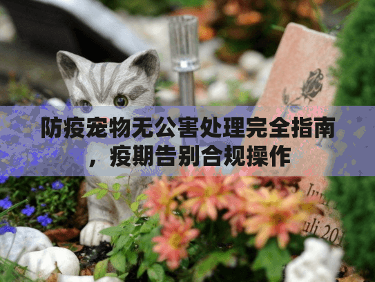 防疫宠物无公害处理完全指南，疫期告别合规操作