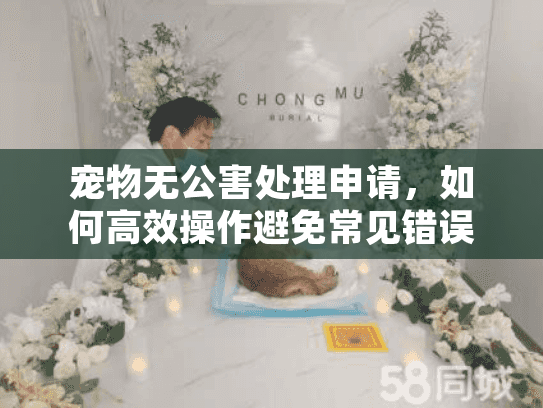 宠物无公害处理申请,如何高效操作避免常见错误? 宠物无公害处理申请,如何高效操作避免常见错误?