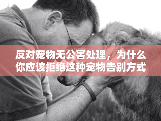 反对宠物无公害处理，为什么你应该拒绝这种宠物告别方式？