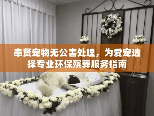 奉贤宠物无公害处理，为爱宠选择专业环保殡葬服务指南