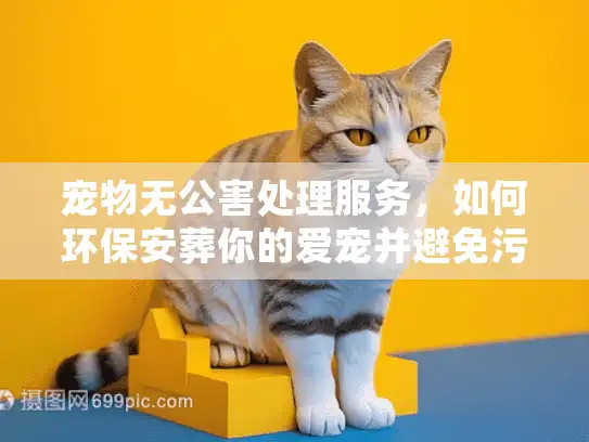 宠物无公害处理服务，如何环保安葬你的爱宠并避免污染？