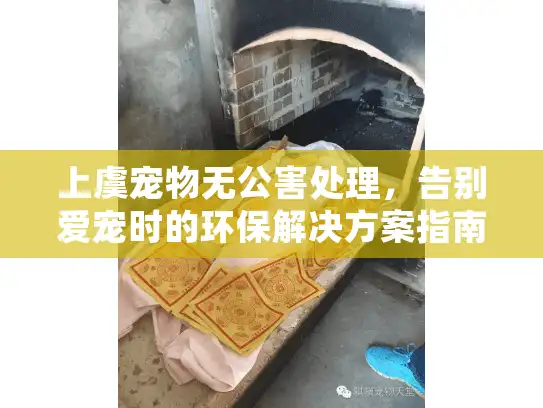 上虞宠物无公害处理,告别爱宠时的环保解决方案指南 上虞宠物无公害处理,告别爱宠时的环保解决方案指南