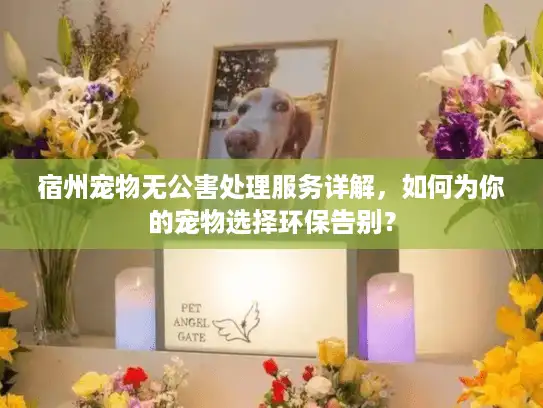 宿州宠物无公害处理服务详解，如何为你的宠物选择环保告别？