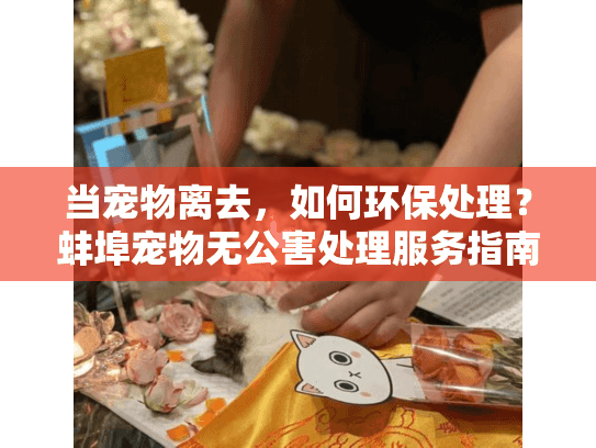 当宠物离去，如何环保处理？蚌埠宠物无公害处理服务指南