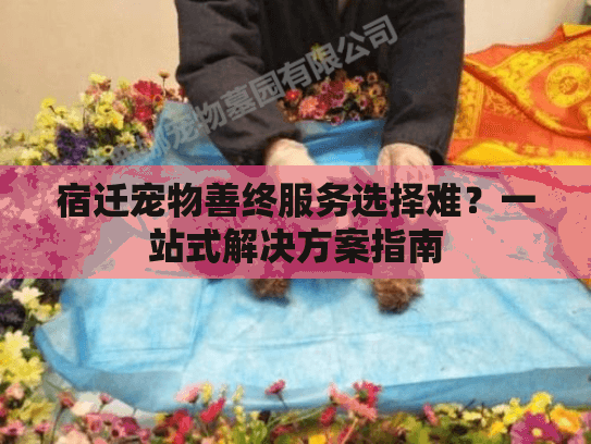 宿迁宠物善终服务选择难？一站式解决方案指南