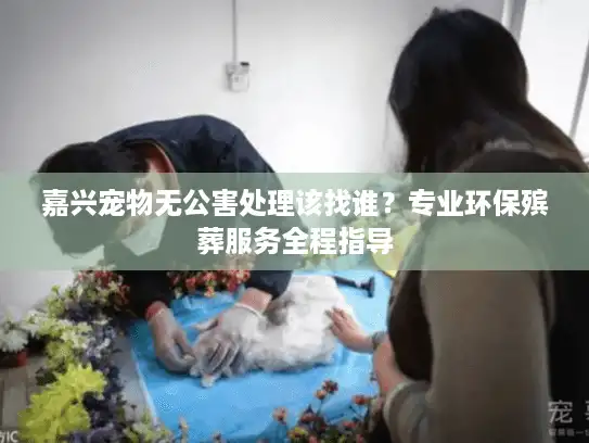 嘉兴宠物无公害处理该找谁?专业环保殡葬服务全程指导 嘉兴宠物无公害处理该找谁?专业环保殡葬服务全程指导
