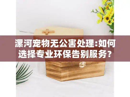 漯河宠物无公害处理:如何选择专业环保告别服务？