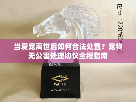 当爱宠离世后如何合法处置?宠物无公害处理协议全程指南 当爱宠离世后如何合法处置?宠物无公害处理协议全程指南