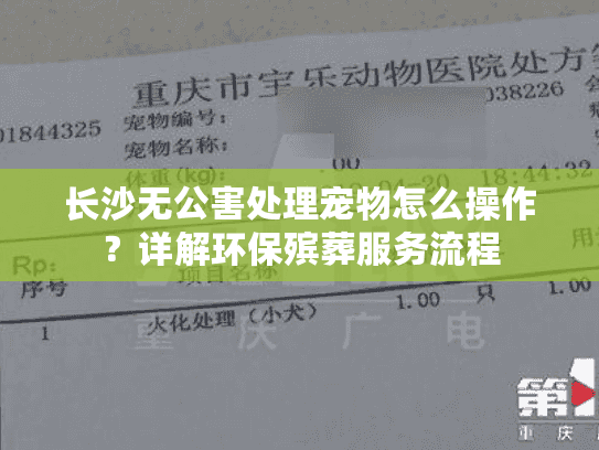 长沙无公害处理宠物怎么操作？详解环保殡葬服务流程