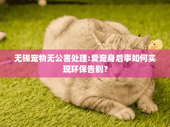 无锡宠物无公害处理:爱宠身后事如何实现环保告别？