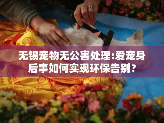 无锡宠物无公害处理:爱宠身后事如何实现环保告别？