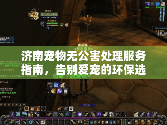 济南宠物无公害处理服务指南，告别爱宠的环保选择