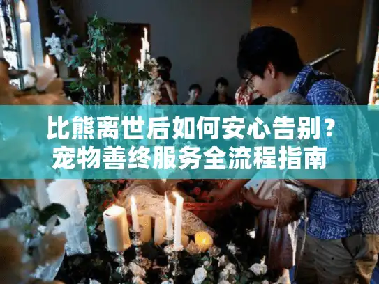 比熊离世后如何安心告别?宠物善终服务全流程指南 比熊离世后如何安心告别?宠物善终服务全流程指南