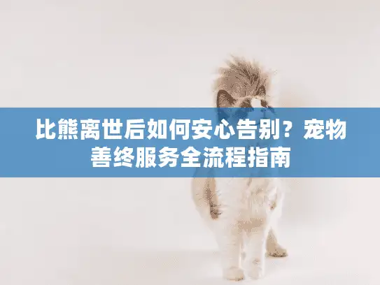 比熊离世后如何安心告别?宠物善终服务全流程指南 比熊离世后如何安心告别?宠物善终服务全流程指南