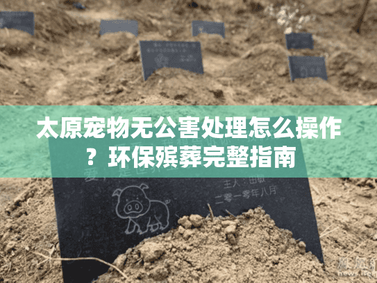 太原宠物无公害处理怎么操作?环保殡葬完整指南 太原宠物无公害处理怎么操作?环保殡葬完整指南