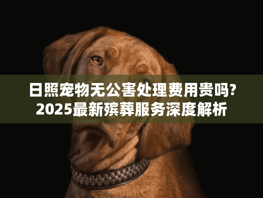 日照宠物无公害处理费用贵吗?2025最新殡葬服务深度解析