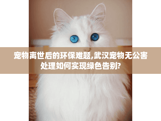 宠物离世后的环保难题,武汉宠物无公害处理如何实现绿色告别? 宠物离世后的环保难题,武汉宠物无公害处理如何实现绿色告别?