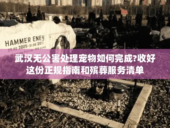 武汉无公害处理宠物如何完成?收好这份正规指南和殡葬服务清单