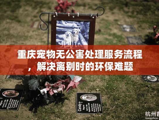 重庆宠物无公害处理服务流程，解决离别时的环保难题