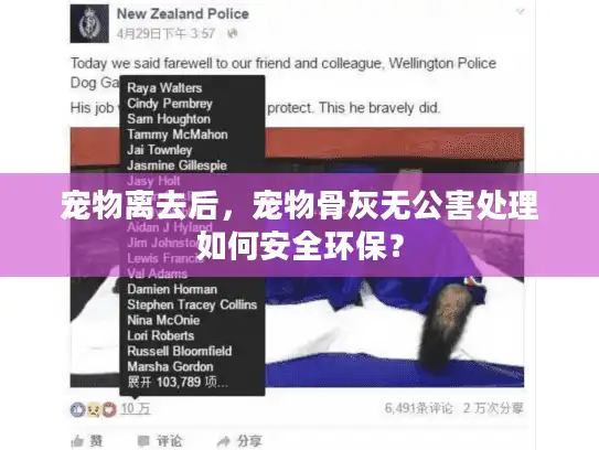 宠物离去后，宠物骨灰无公害处理如何安全环保？