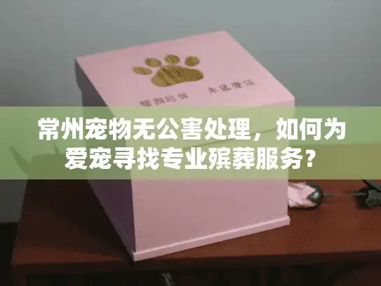 常州宠物无公害处理，如何为爱宠寻找专业殡葬服务？