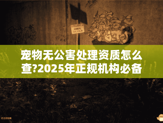 宠物无公害处理资质怎么查?2025年正规机构必备认证指南