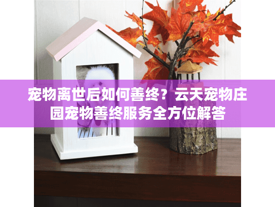 宠物离世后如何善终？云天宠物庄园宠物善终服务全方位解答