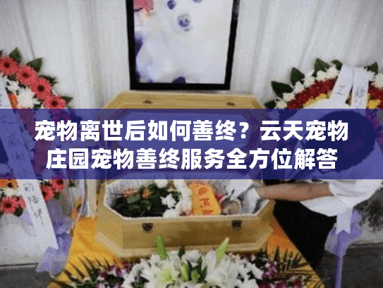 宠物离世后如何善终？云天宠物庄园宠物善终服务全方位解答