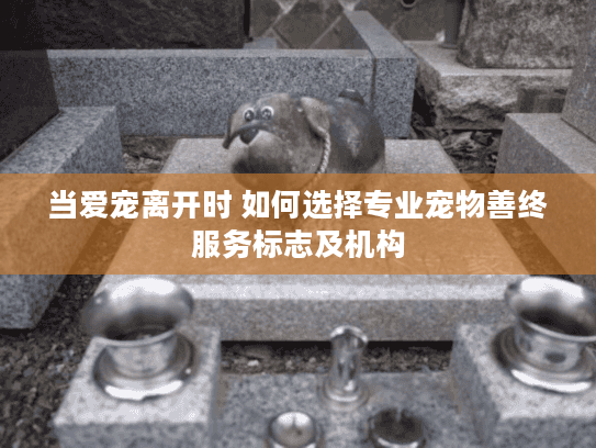 当爱宠离开时 如何选择专业宠物善终服务标志及机构 当爱宠离开时 如何选择专业宠物善终服务标志及机构