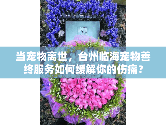 当宠物离世，台州临海宠物善终服务如何缓解你的伤痛？