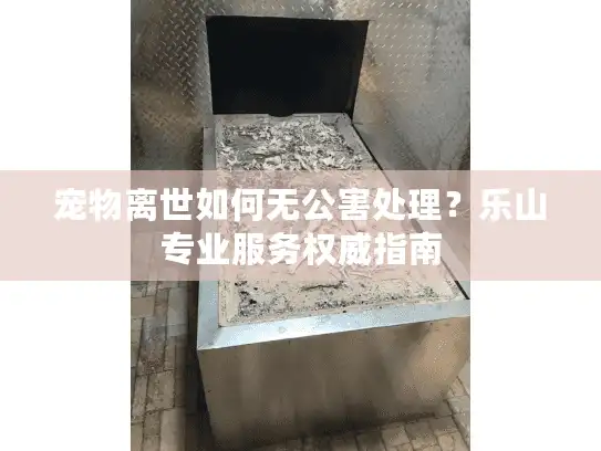 宠物离世如何无公害处理？乐山专业服务权威指南