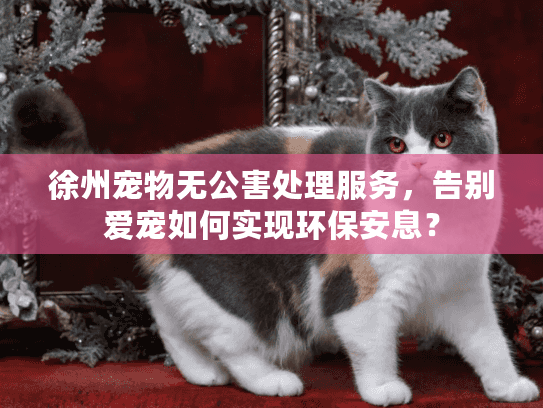 徐州宠物无公害处理服务,告别爱宠如何实现环保安息? 徐州宠物无公害处理服务,告别爱宠如何实现环保安息?