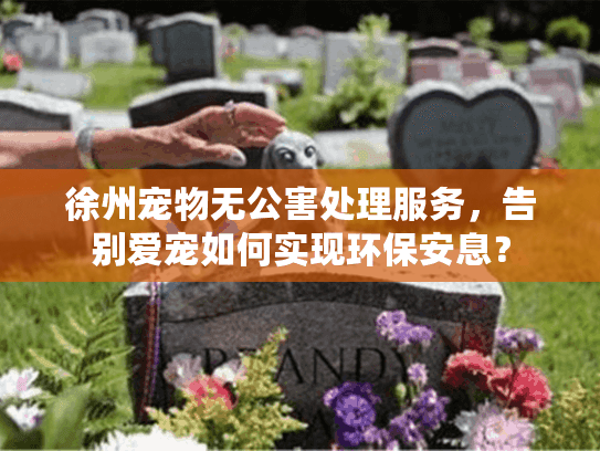 徐州宠物无公害处理服务,告别爱宠如何实现环保安息? 徐州宠物无公害处理服务,告别爱宠如何实现环保安息?