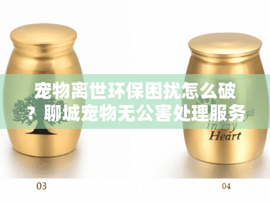 宠物离世环保困扰怎么破？聊城宠物无公害处理服务帮您轻松解决