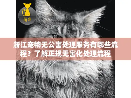 浙江宠物无公害处理服务有哪些流程？了解正规无害化处理流程