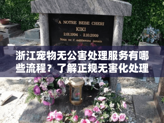 浙江宠物无公害处理服务有哪些流程？了解正规无害化处理流程